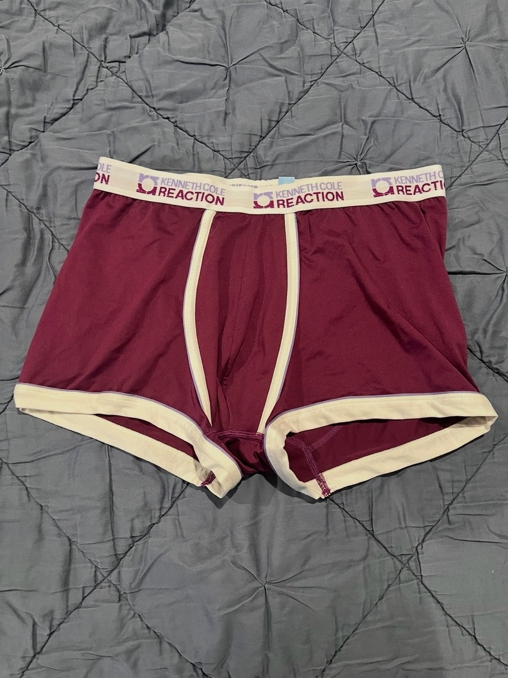 Kenneth Cole Reaction Plum Trunks